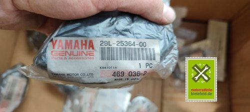 IMG_20230828_105207